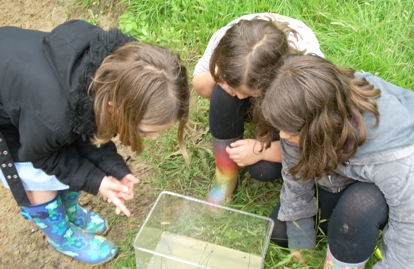 Discovering pond life