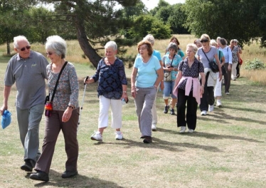 Elmbridge healthy walks